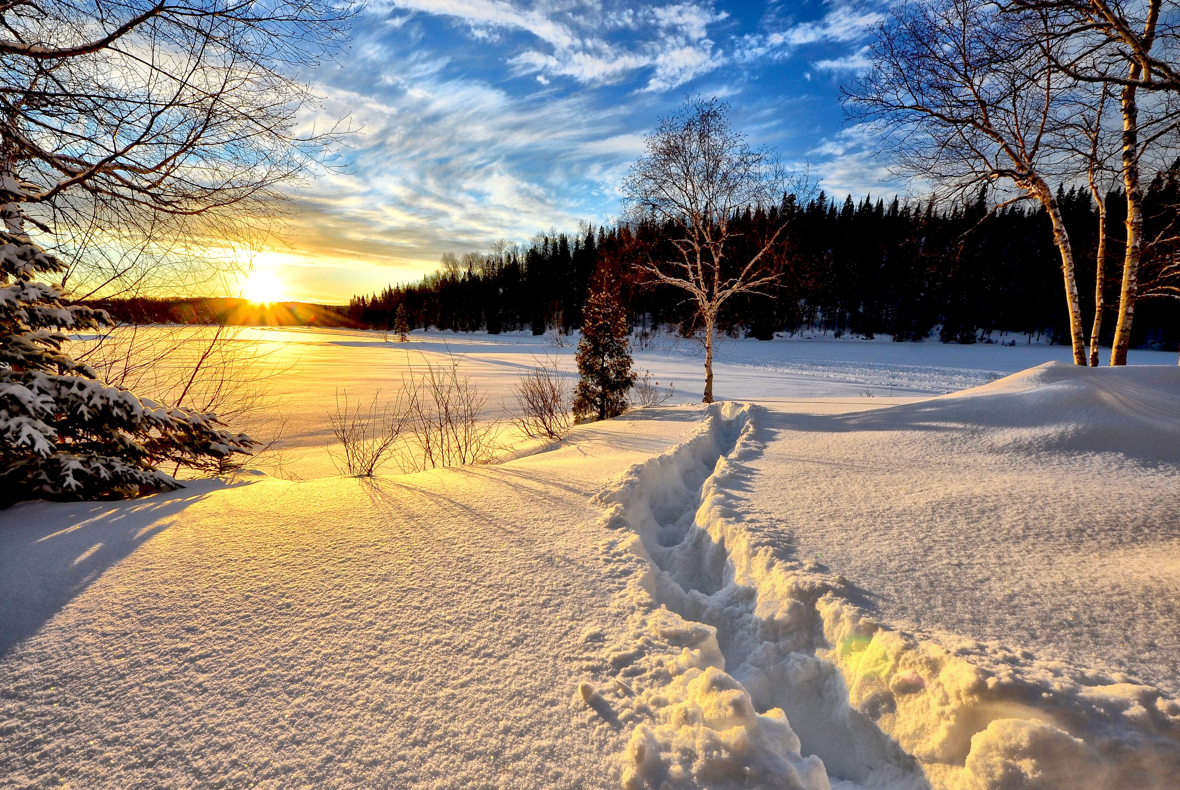 christmas-g476411c8d.jpg